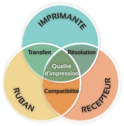 3 éléments essentiels à la garantie d'une impression de qualité : une imprimante Transfert Thermique, un support d’impression et un rouleau encré.